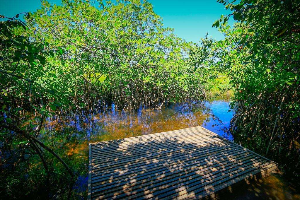 Pousada Ecologica Bangalo de Praia Itacimirim Habitación foto